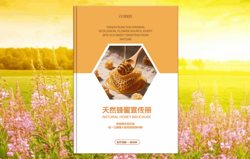 制作电子画册用什么软件？