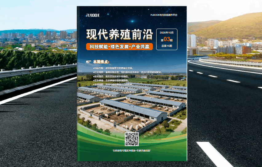 绝了！这个工具能把PDF/Word/PPT一键转成翻页电子书