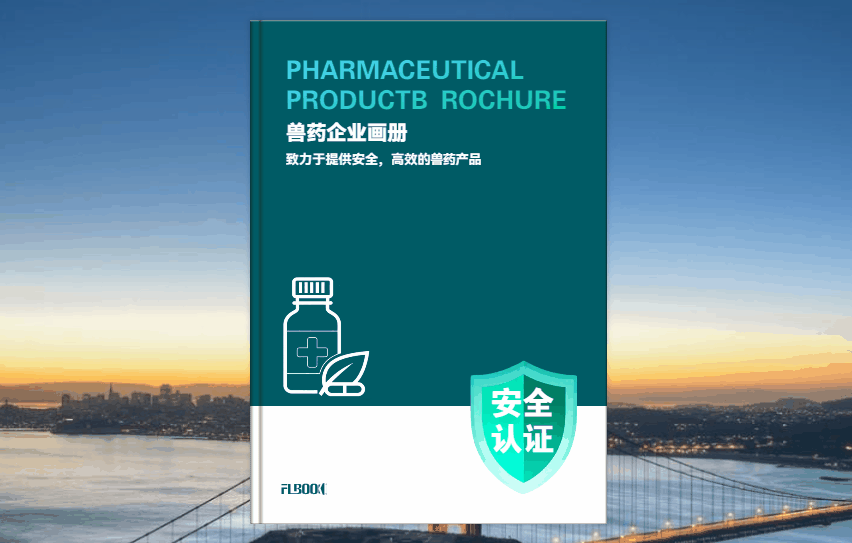 别再用PDF发作品集了！试试这个工具，面试通过率翻倍