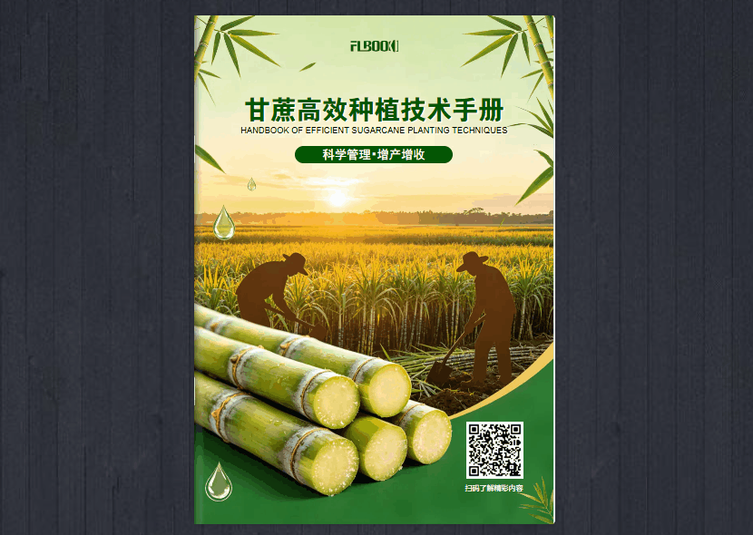 免费导入PDF、Word、PPT！用FLBOOK快速生成爆款电子书